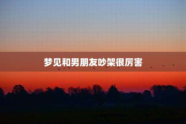 梦见和男朋友吵架很厉害