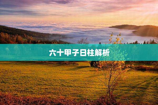六十甲子日柱解析