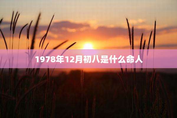 1978年12月初八是什么命人