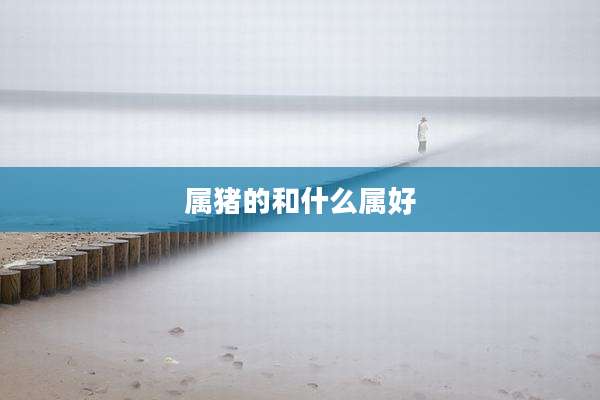 属猪的和什么属好