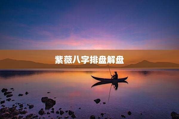 紫薇八字排盘解盘