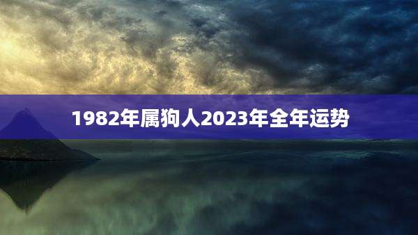 1982年属狗人2023年全年运势