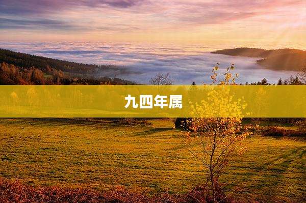 九四年属