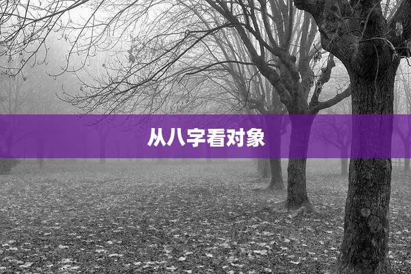 从八字看对象