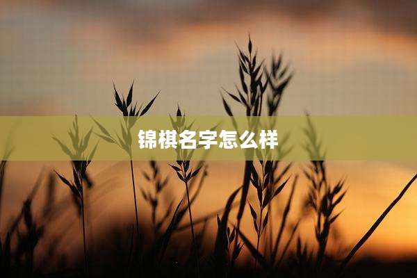 锦棋名字怎么样
