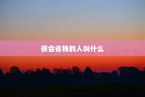很会省钱的人叫什么