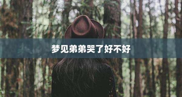 梦见弟弟哭了好不好