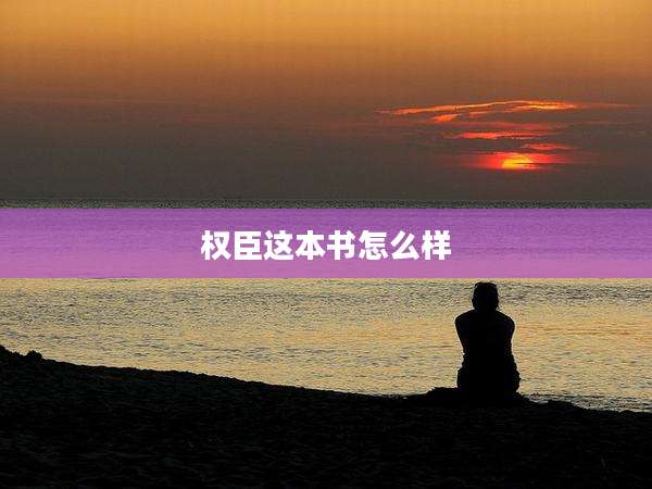 权臣这本书怎么样