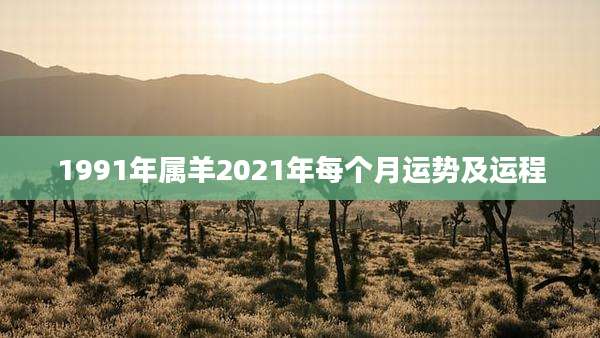 1991年属羊2021年每个月运势及运程