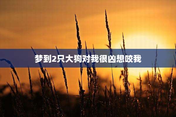 梦到2只大狗对我很凶想咬我