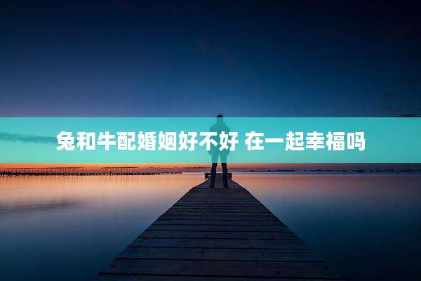 兔和牛配婚姻好不好 在一起幸福吗