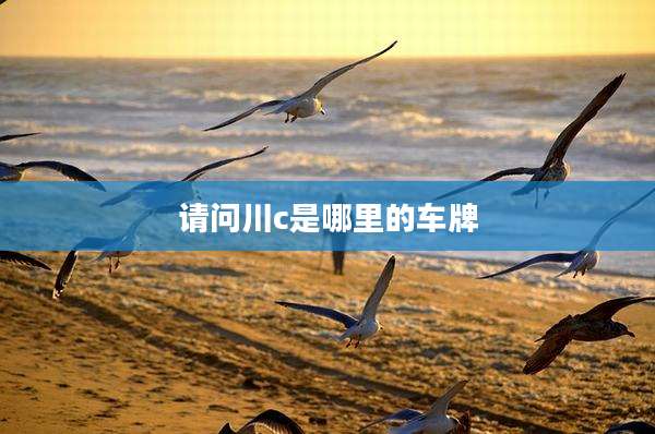 请问川c是哪里的车牌