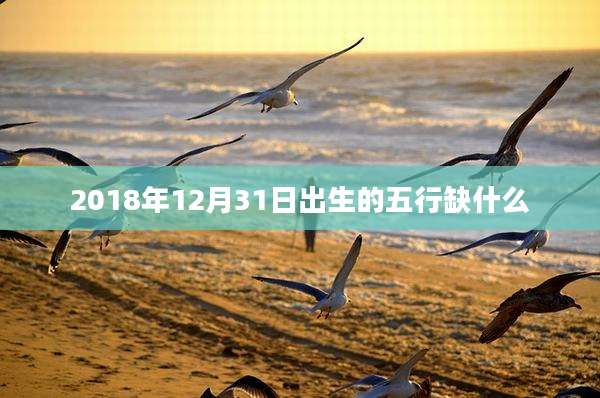 2018年12月31日出生的五行缺什么