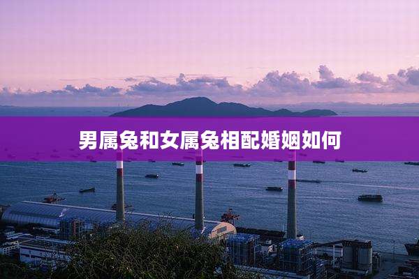 男属兔和女属兔相配婚姻如何