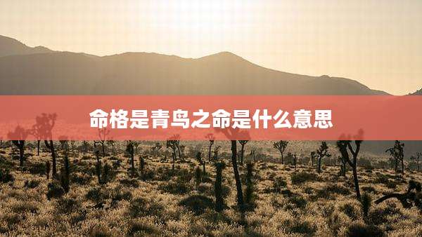 命格是青鸟之命是什么意思
