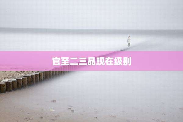 官至二三品现在级别