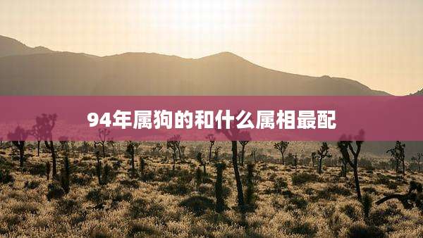 94年属狗的和什么属相最配