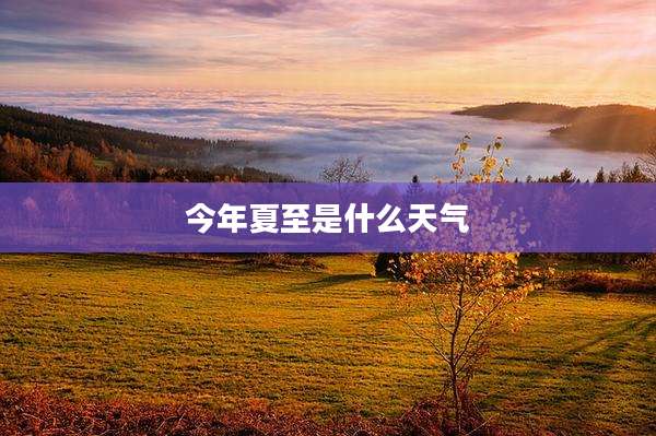 今年夏至是什么天气