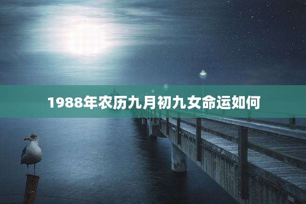 1988年农历九月初九女命运如何