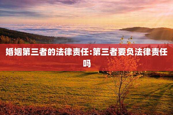 婚姻第三者的法律责任:第三者要负法律责任吗