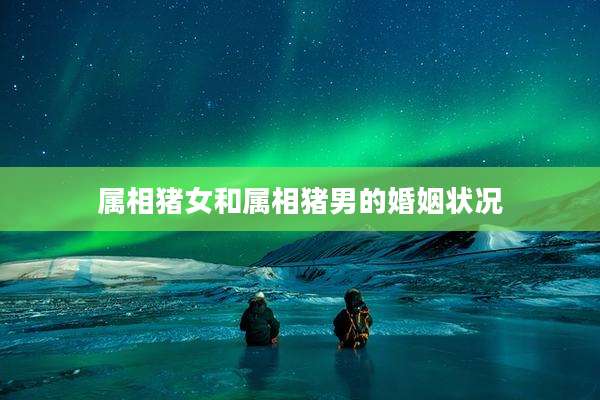 属相猪女和属相猪男的婚姻状况