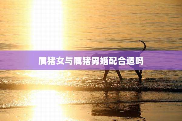 属猪女与属猪男婚配合适吗