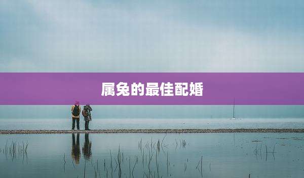 属兔的最佳配婚