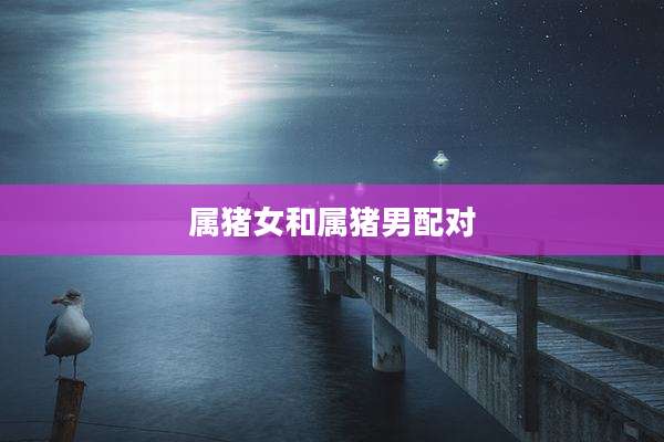 属猪女和属猪男配对