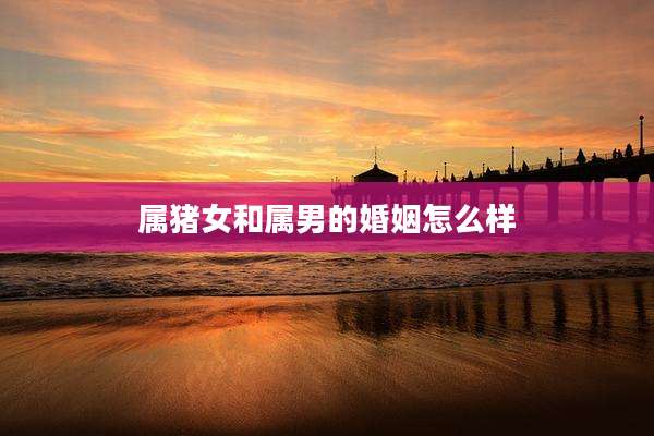 属猪女和属男的婚姻怎么样