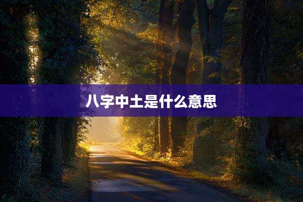 八字中土是什么意思