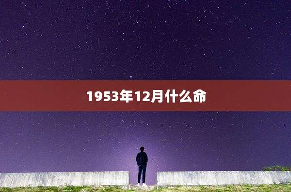 1953年12月什么命