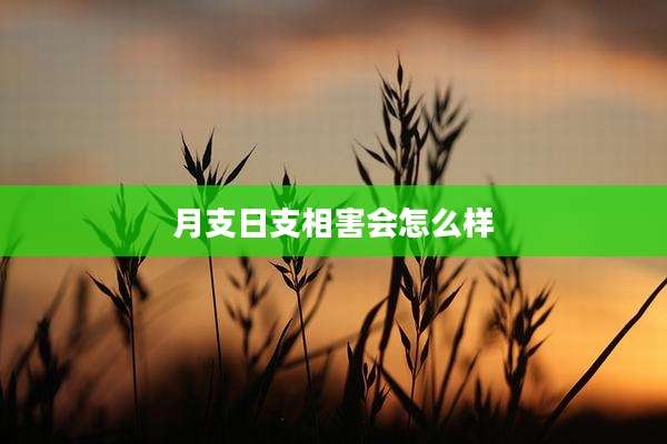 月支日支相害会怎么样