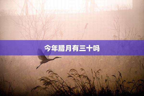 今年腊月有三十吗