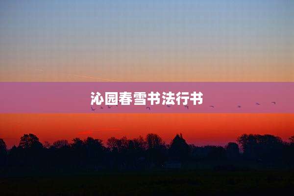 沁园春雪书法行书
