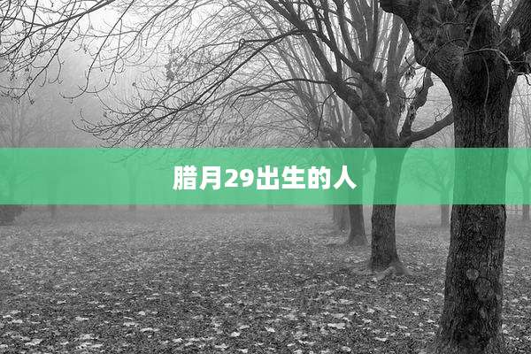 腊月29出生的人