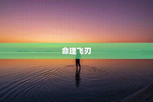命理飞刃