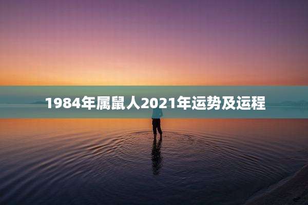 1984年属鼠人2021年运势及运程
