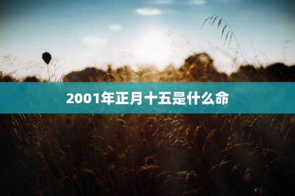 2001年正月十五是什么命
