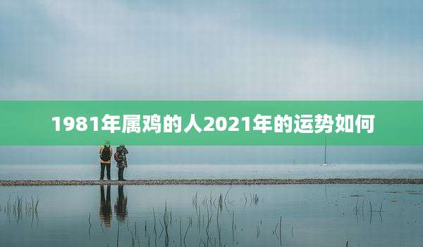 1981年属鸡的人2021年的运势如何