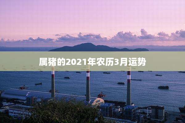 属猪的2021年农历3月运势