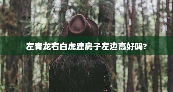 左青龙右白虎建房子左边高好吗?