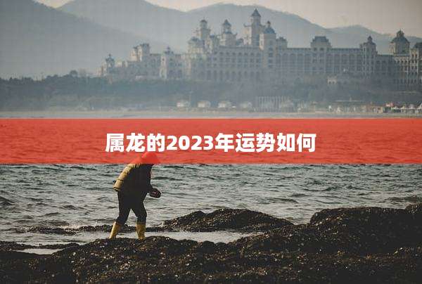 属龙的2023年运势如何