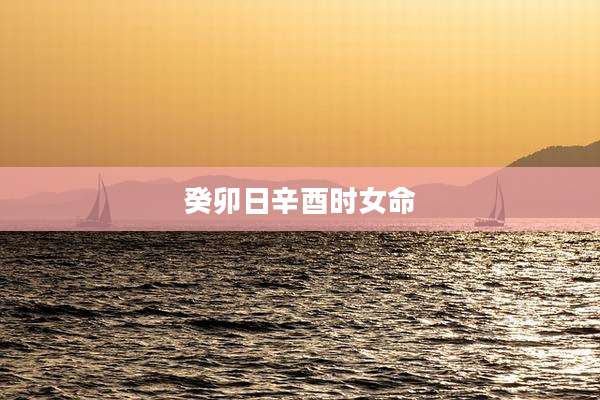 癸卯日辛酉时女命