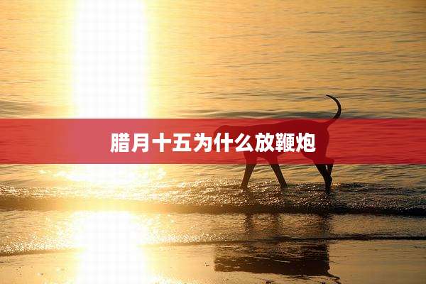 腊月十五为什么放鞭炮