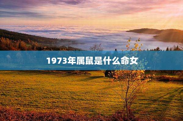 1973年属鼠是什么命女