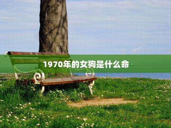 1970年的女狗是什么命