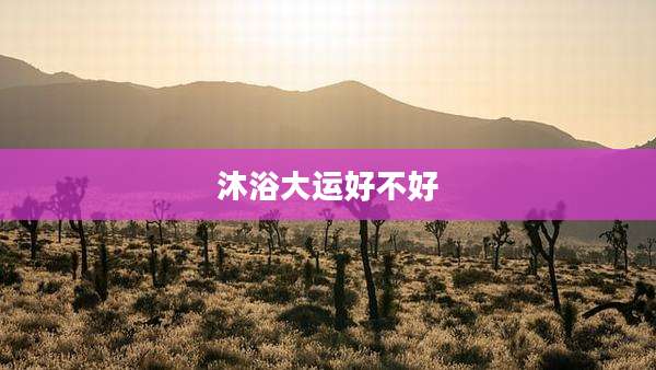 沐浴大运好不好