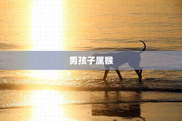 男孩子属猴