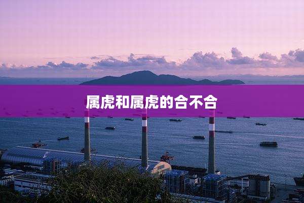 属虎和属虎的合不合
