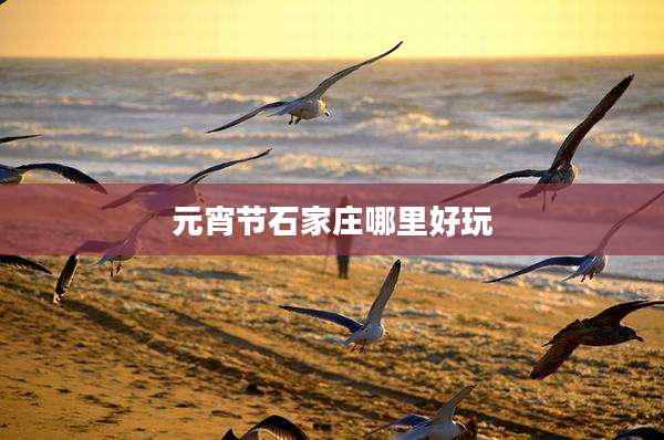 元宵节石家庄哪里好玩
